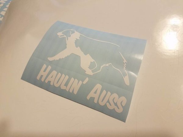 Haulin Auss 2