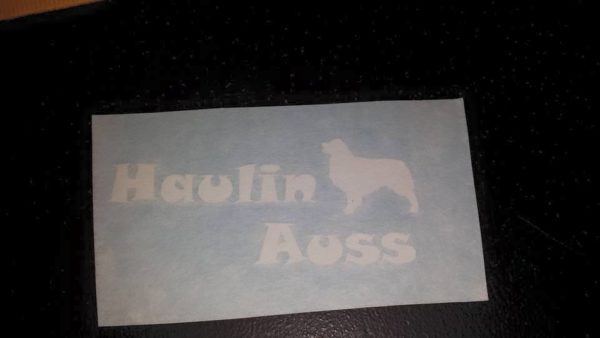 Haulin Auss
